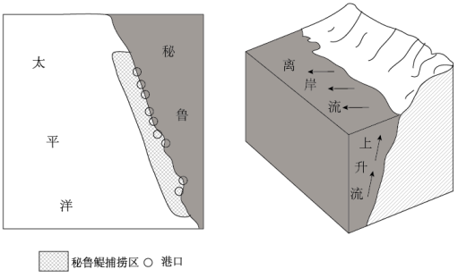 德国产富硒茶