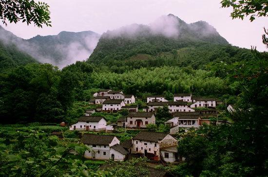 富硒茶 渴旺