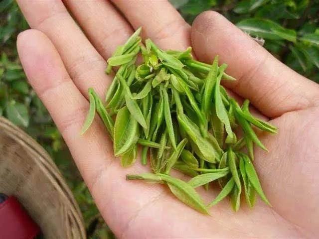 阿紫阳富硒茶