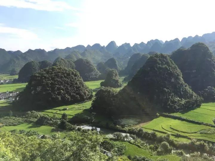 遵义红富硒茶