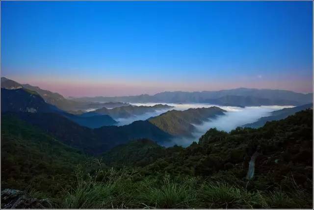 小分子富硒茶