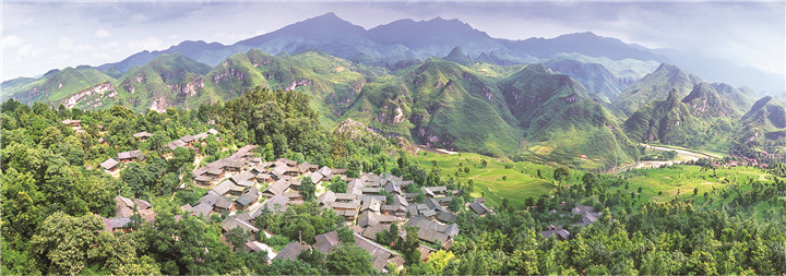 石阡富硒苔茶