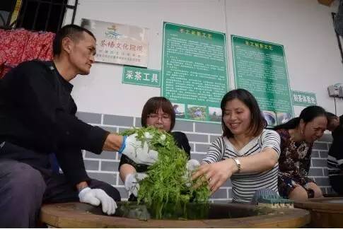 采茶匠富硒茶