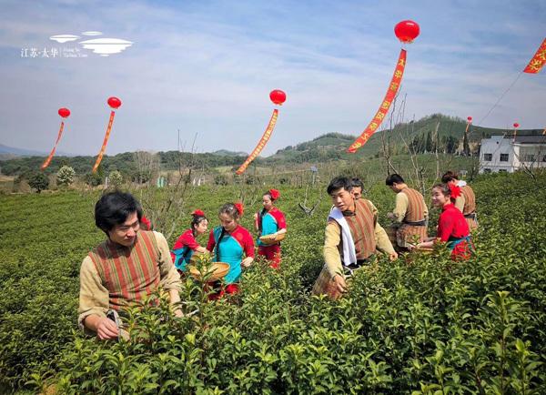 论茗 富硒茶