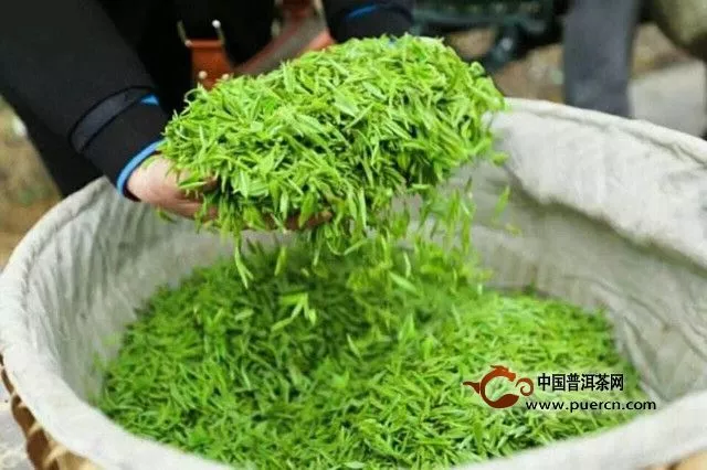 凤冈锌硒茶