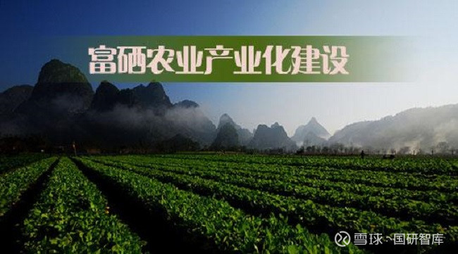 紫阳富硒茶信