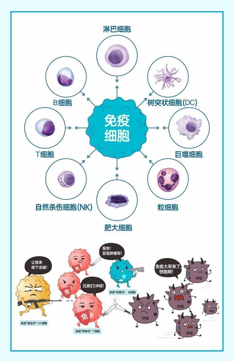 富硒腾茶功效