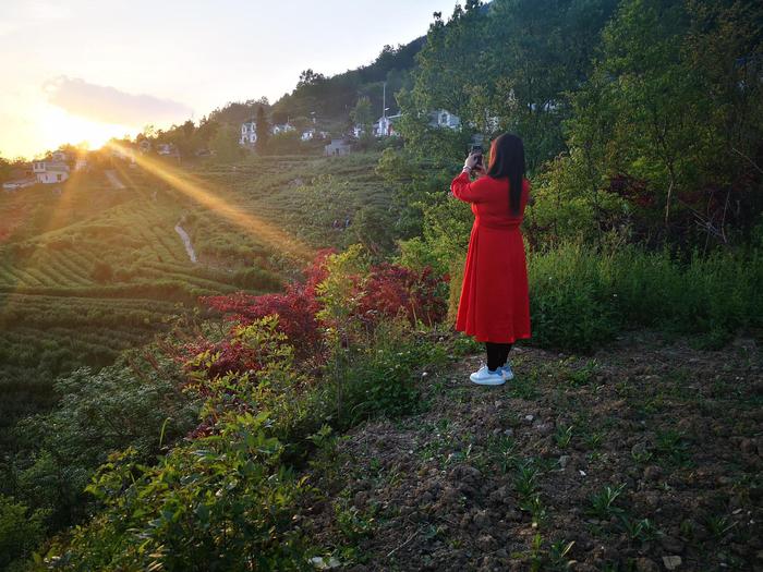 五一去哪玩？陕茶代言人带你到安康 了解茶文化