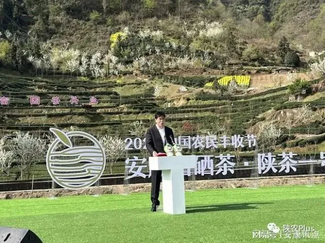 梅州的富硒茶