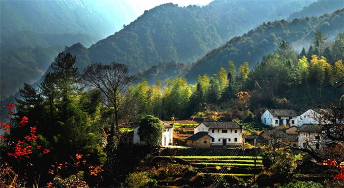 仙富山富硒茶