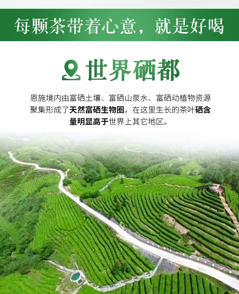 富硒茶的研究