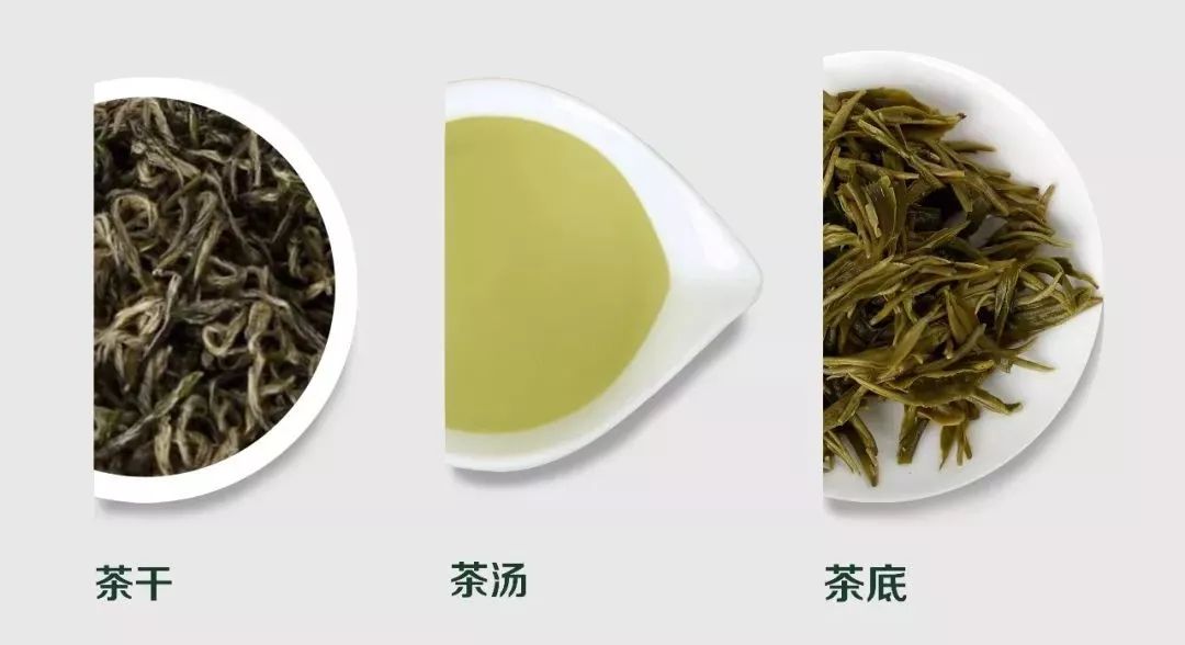 常熟富锌硒茶