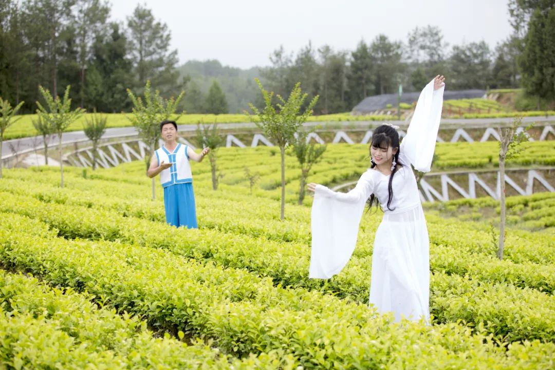 春意浓富硒茶