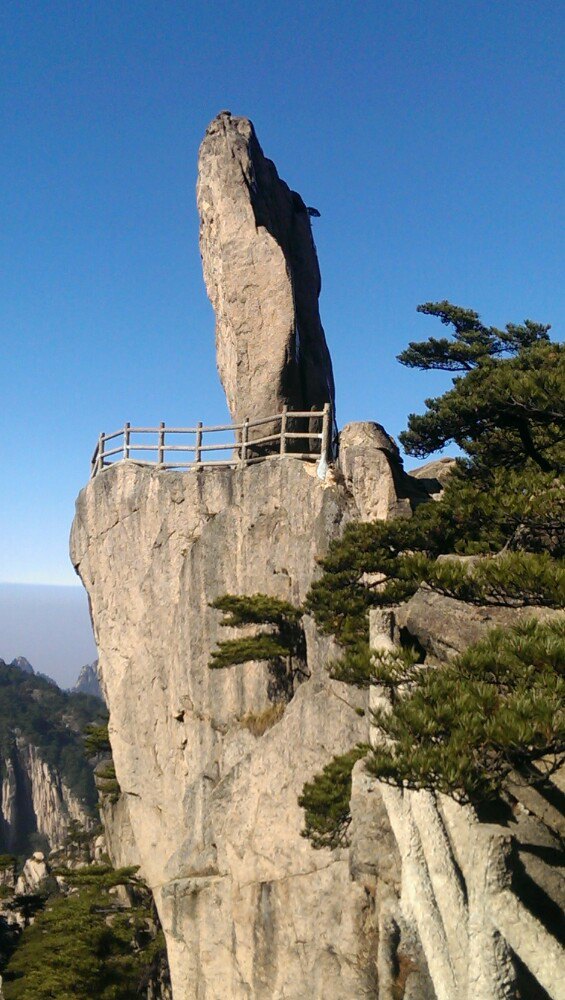 仙遇山富硒茶