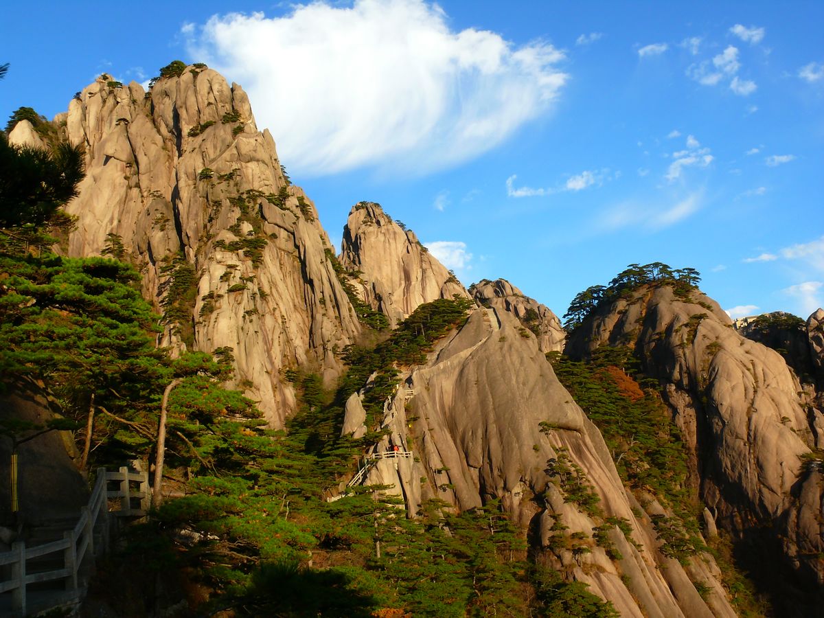 仙遇山富硒茶