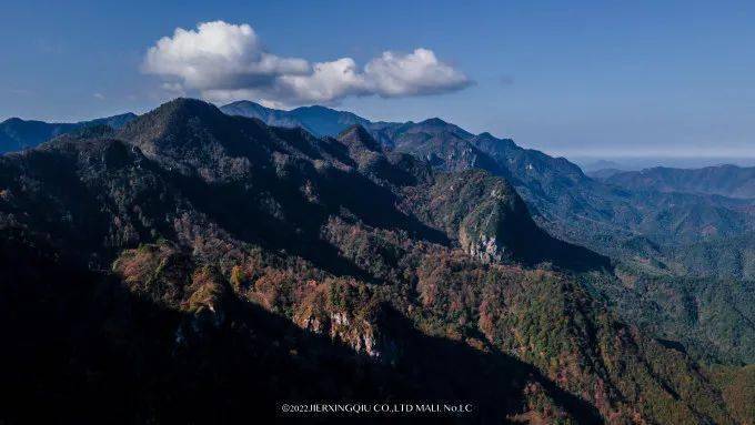 富硒茶仙寓山