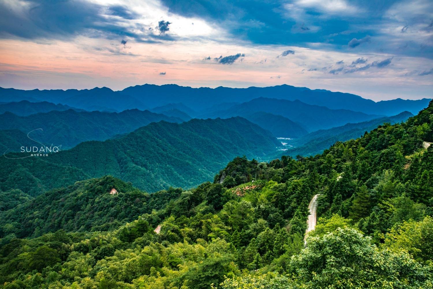 富硒茶仙寓山