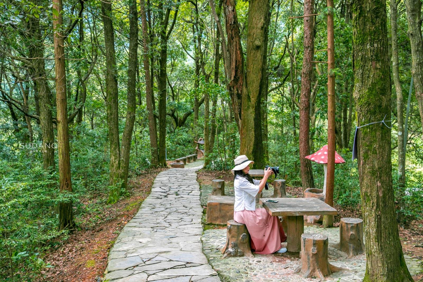 富硒茶仙寓山