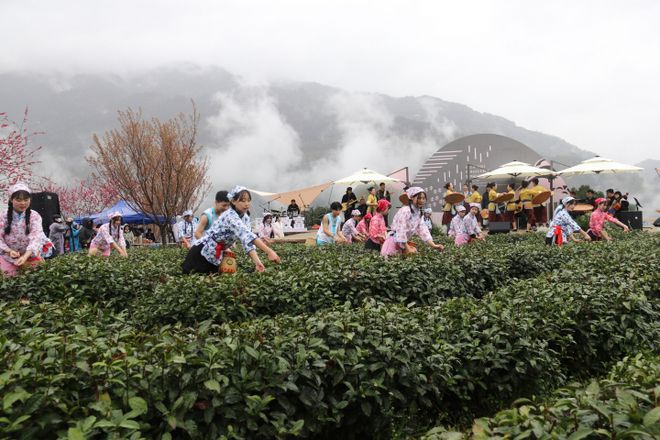 天台县富硒茶