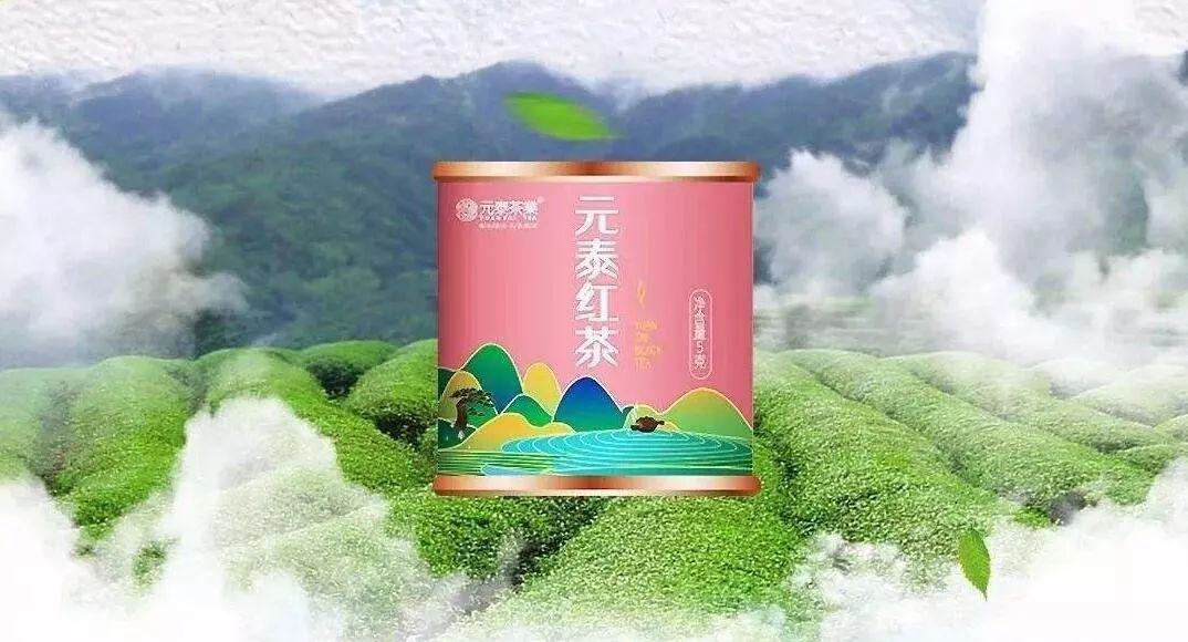 武夷山富硒茶