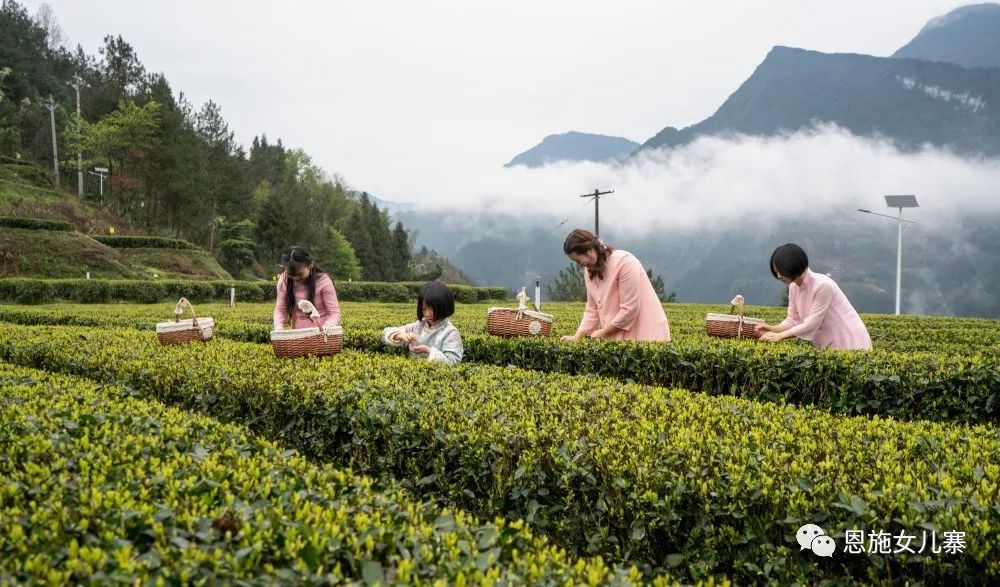 天之方富硒茶