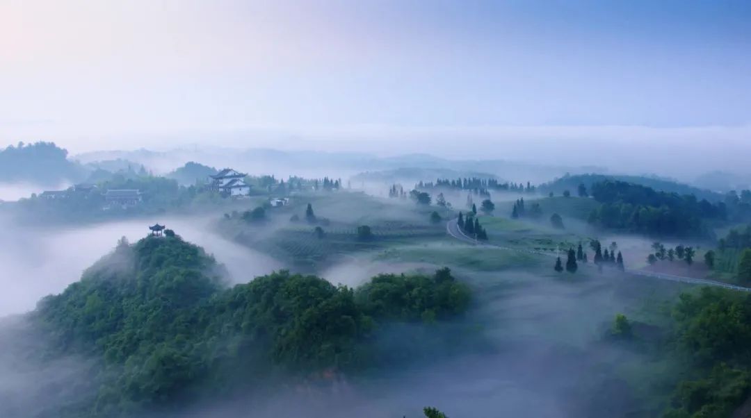 贵阳市富硒茶