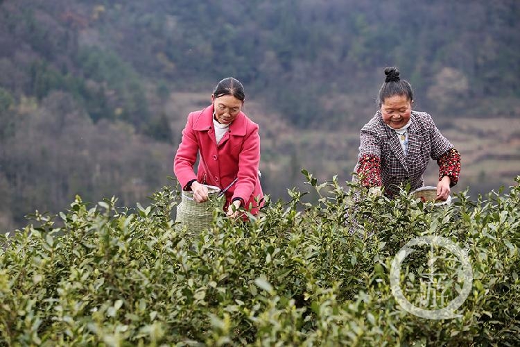 潘锦富硒大米