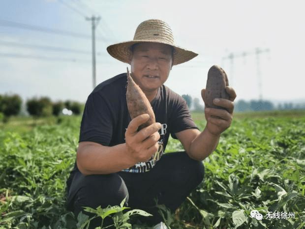 富硒大米发酵