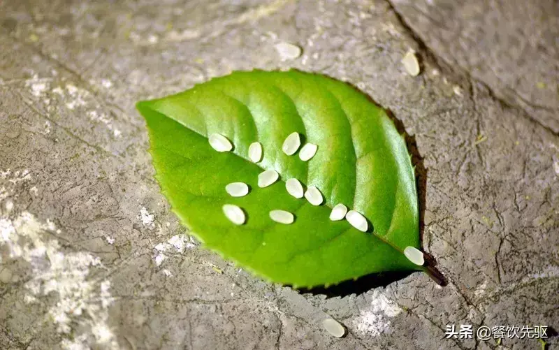 沈阳富硒大米