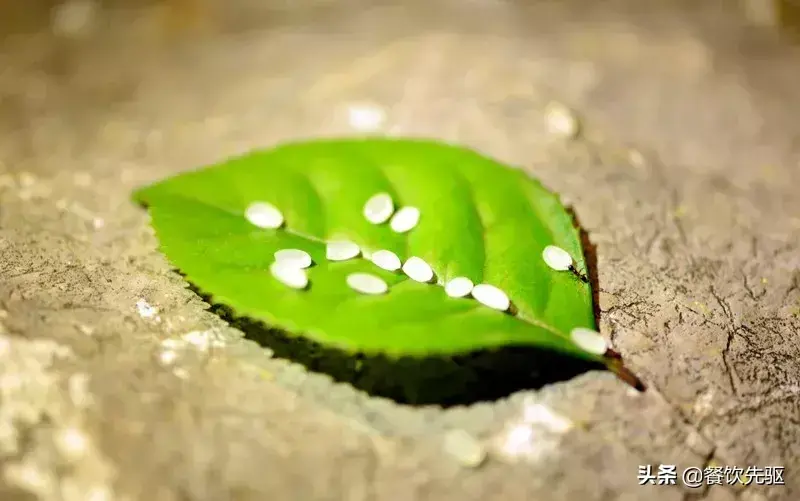 沈阳富硒大米