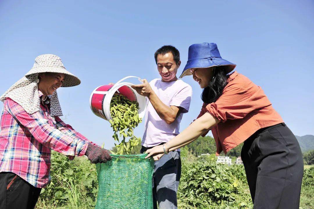 富硒大米骗局