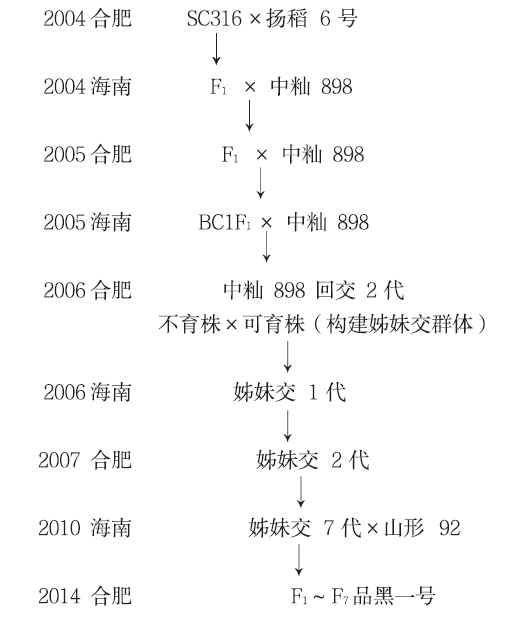 寒育富硒大米