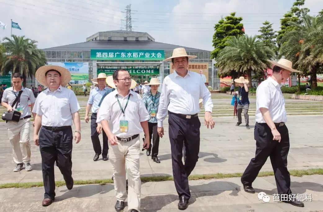 芭田富硒大米