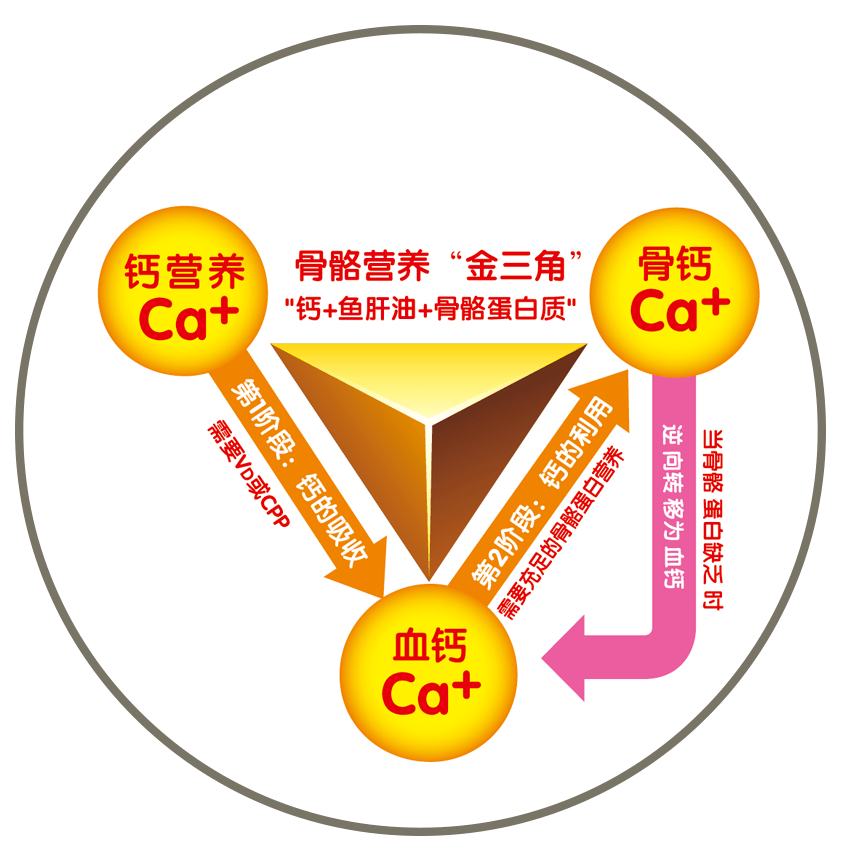 10岁儿童吃什么钙片补钙效果好