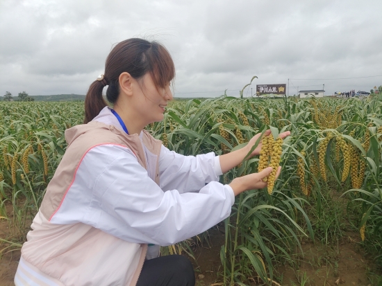 伊川富硒面粉