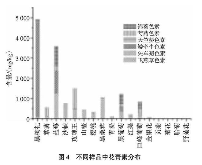 猕猴桃补铁吗