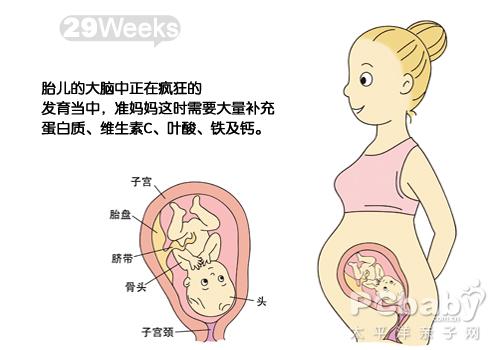 孕晚期需要补钙吗