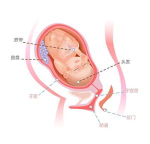 孕晚期需要补钙吗