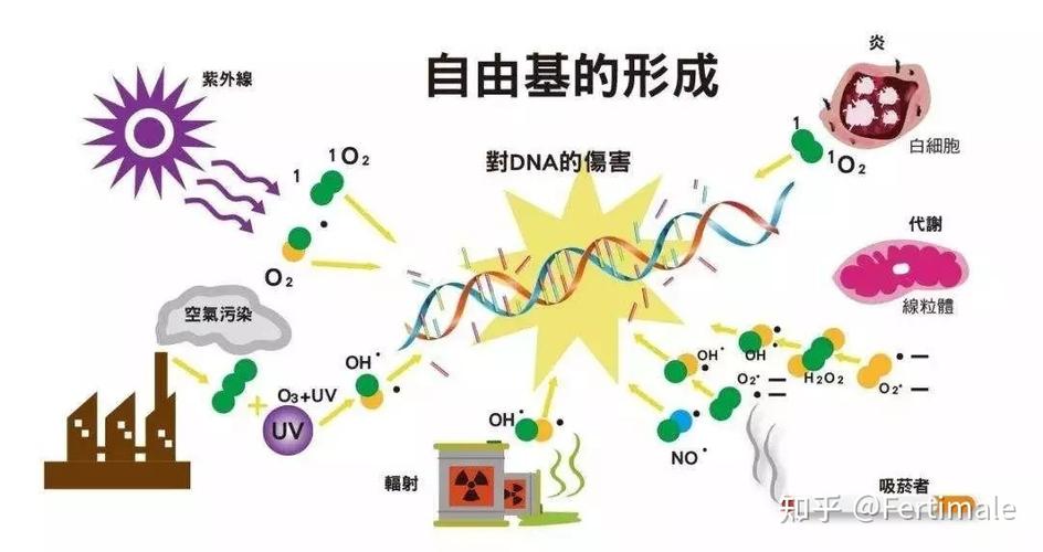 焦磷酸铁补铁效果好吗