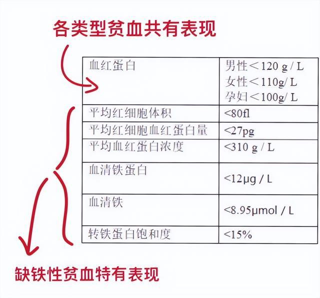 不缺铁可以补铁吗