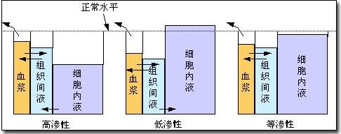 补钠浓度和速度