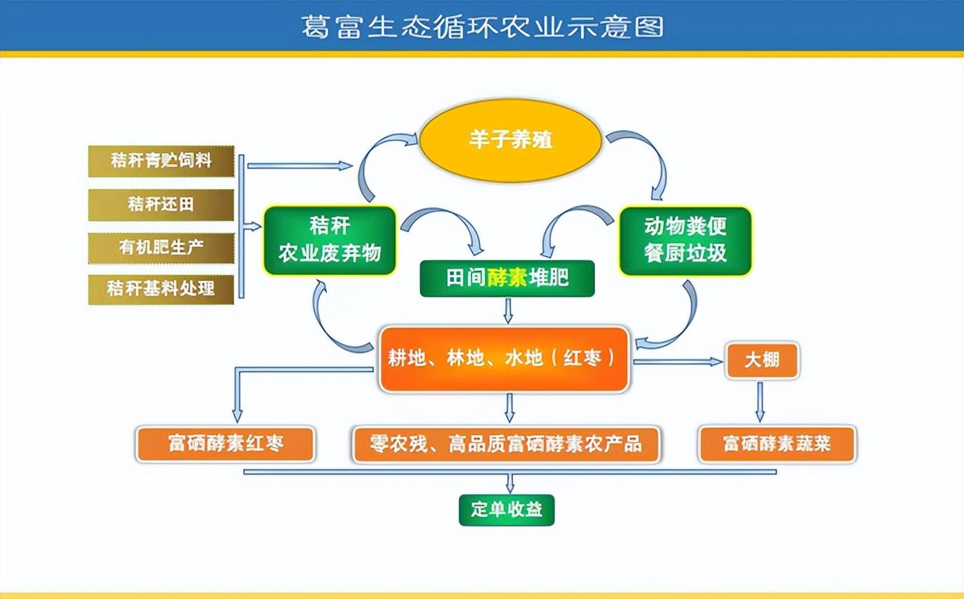 富硒酵素蔬菜