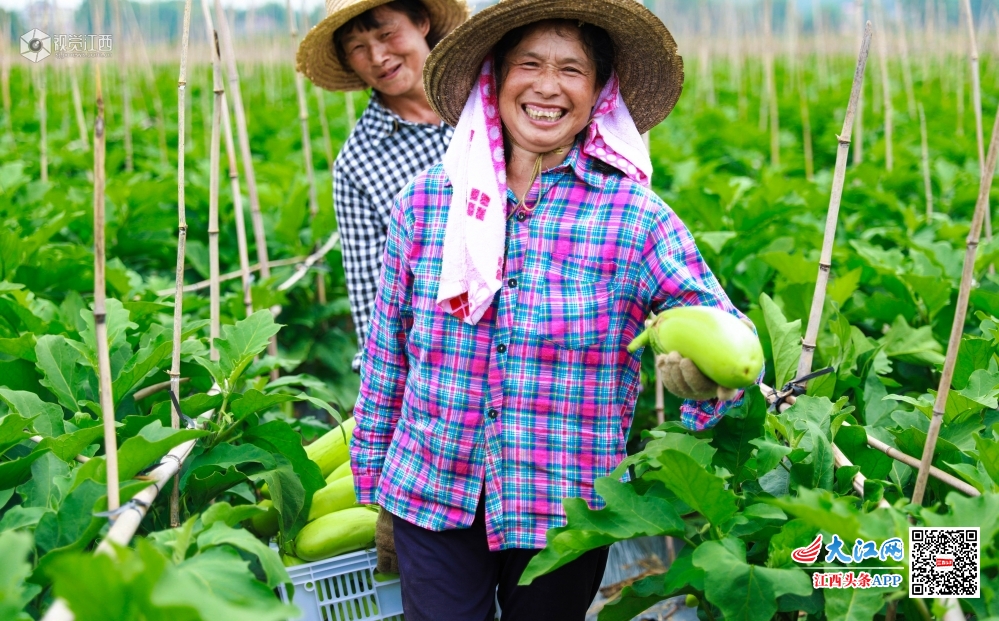 富硒蔬菜价值