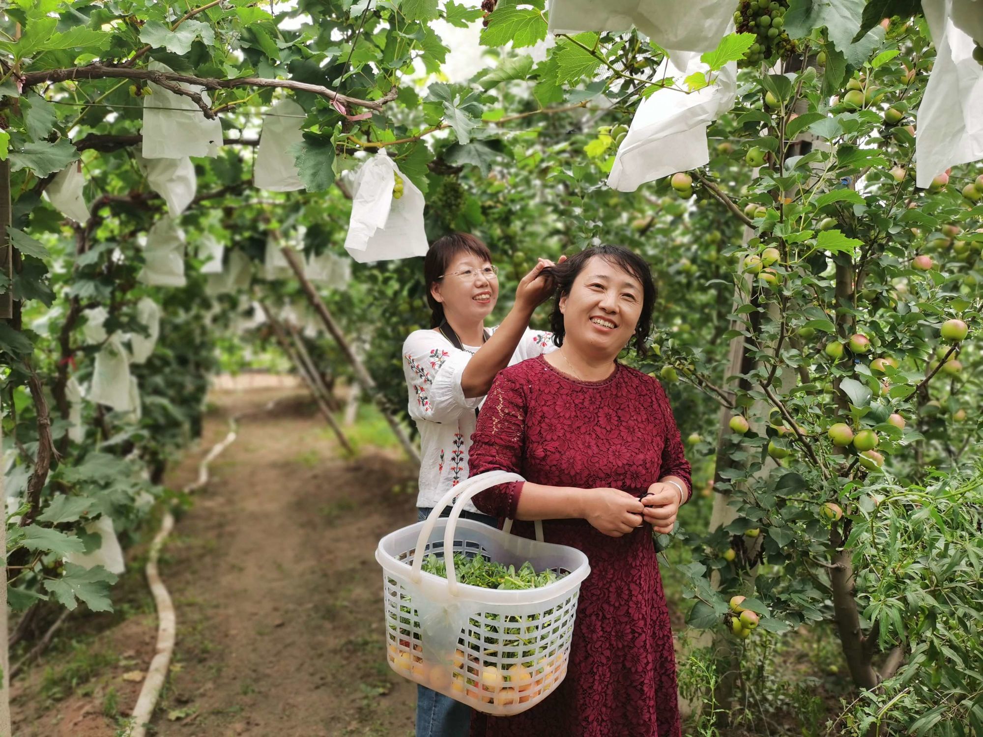 含富硒的蔬菜