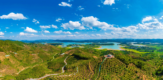 平南富硒水果