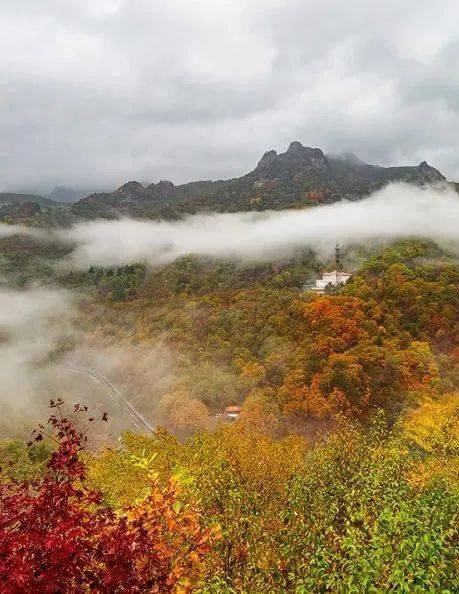 吉林富硒水果