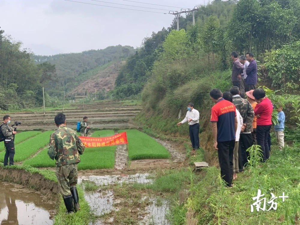 富硒水果酵母