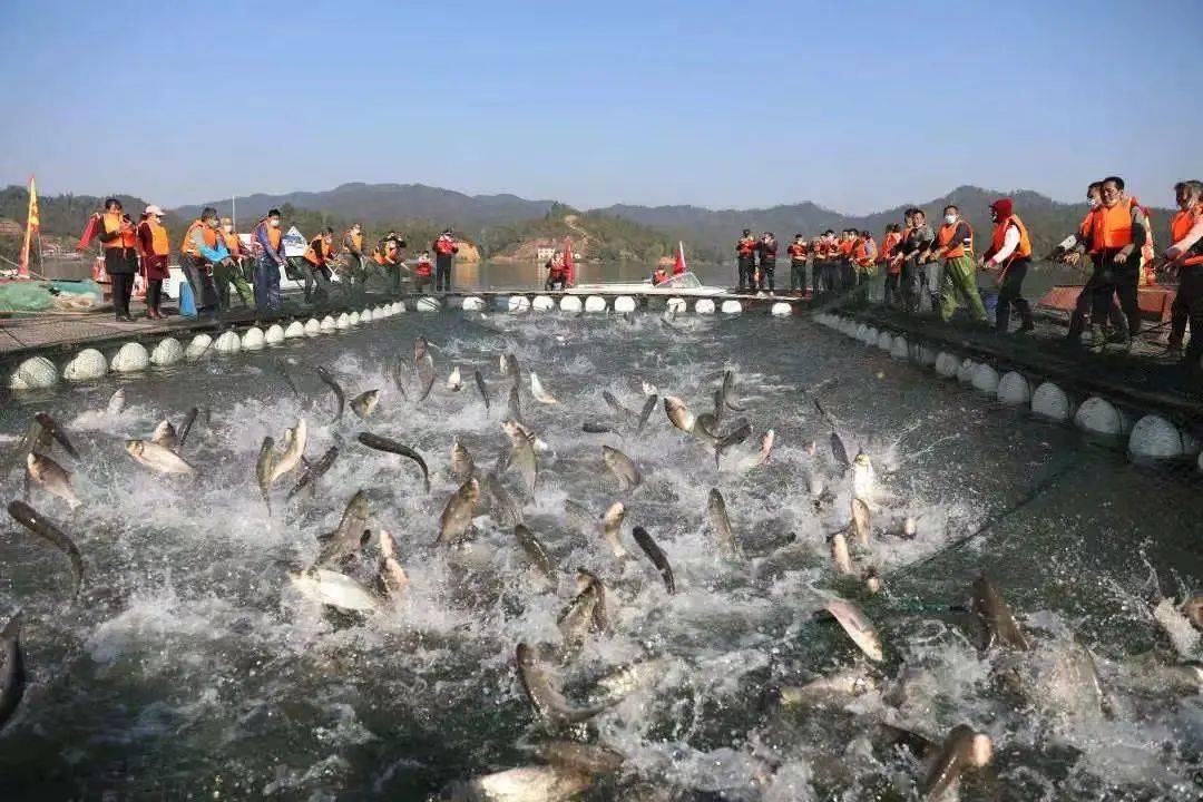 富硒水果店铺