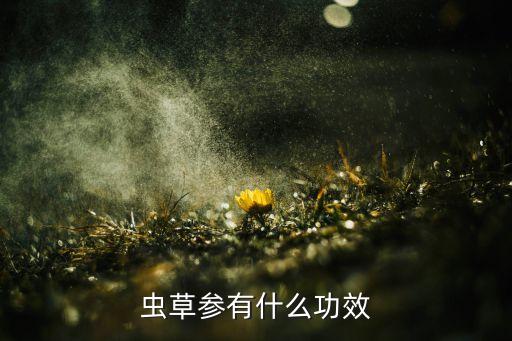 虫草参有什么功效