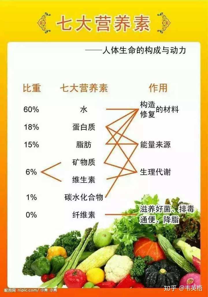 吃啥补铁补血最快最好